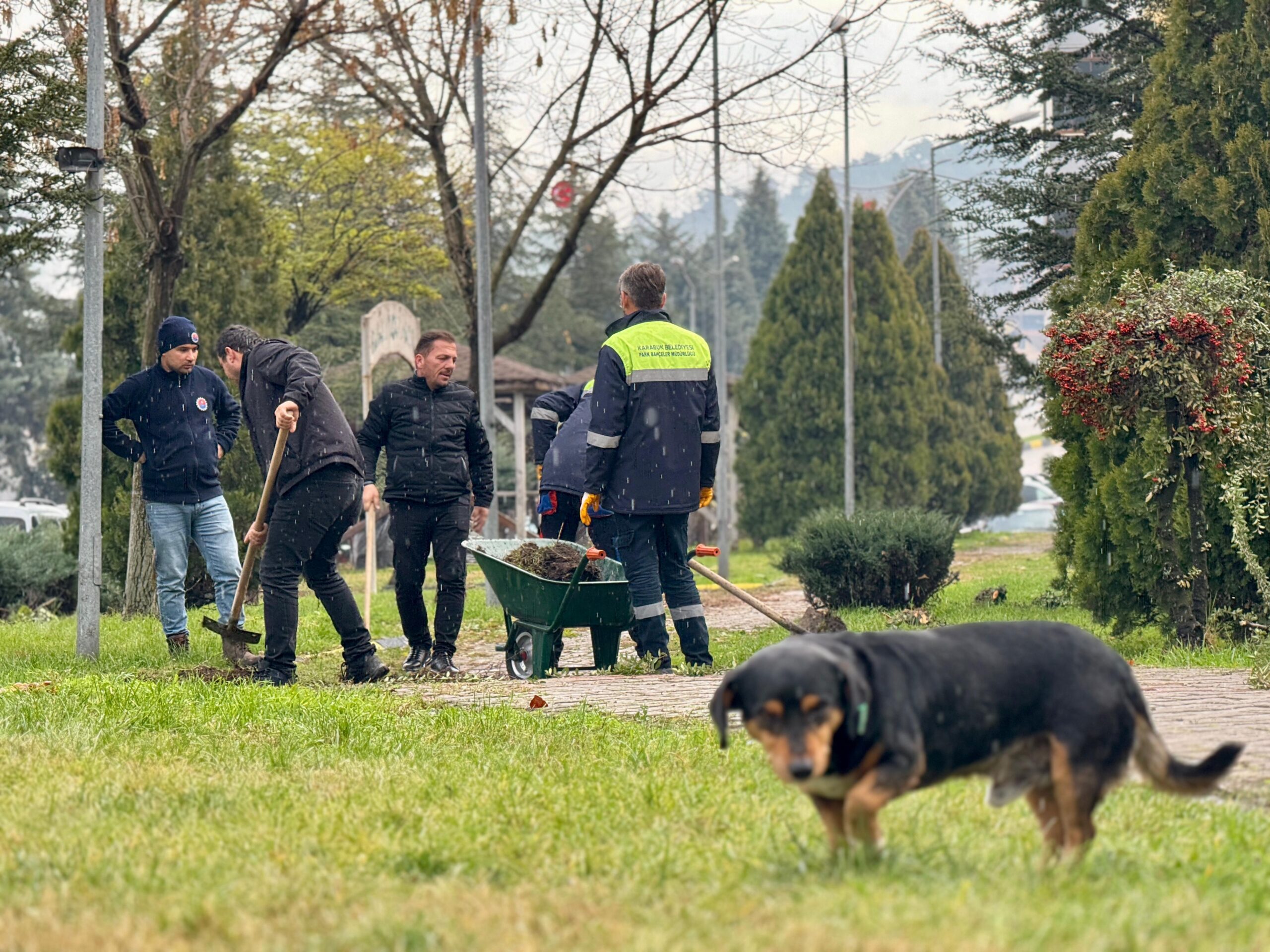 Karabük Belediyesi Ağaç Budama ve Peyzaj Çalışmalarına Devam Ediyor