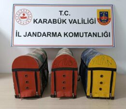 Karabük’te Horoz Dövüşüne Baskın: 27 Kişi Yakalandı