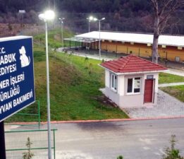 Karabük Belediyesi, Sokak Hayvanları İçin 1.000 Kapasiteli Modern Barınak İnşasına Devam Ediyor