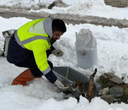Karabük Belediyesi’nden Soğuk Havalarda Sokak Hayvanlarına Destek