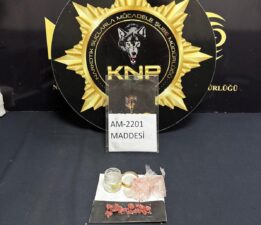 Karabük’te Uyuşturucu Operasyonları: 2 Tutuklama